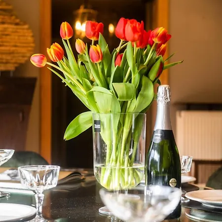 Casa Newport Nieuwpoort